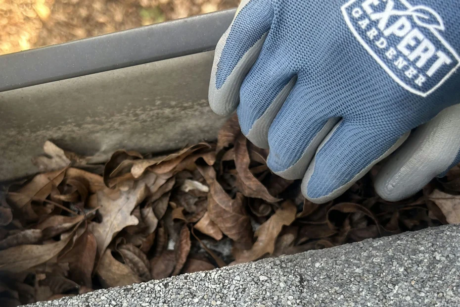 Gutter Cleaning Aventura FL