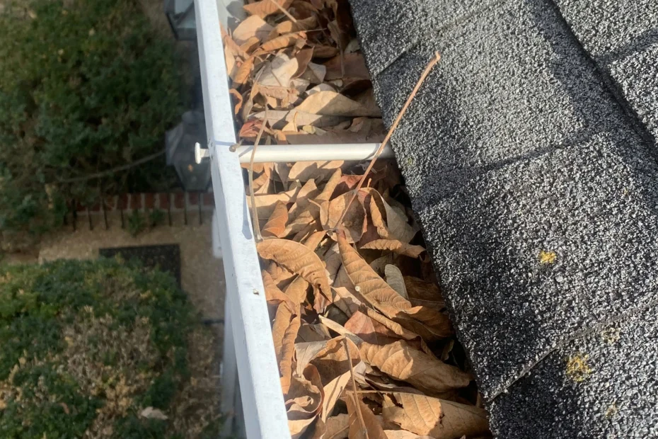 Gutter Cleaning Aventura FL