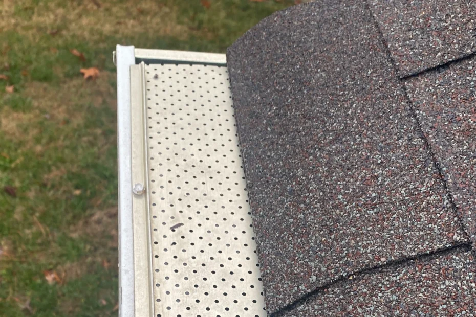 Gutter Cleaning Aventura FL