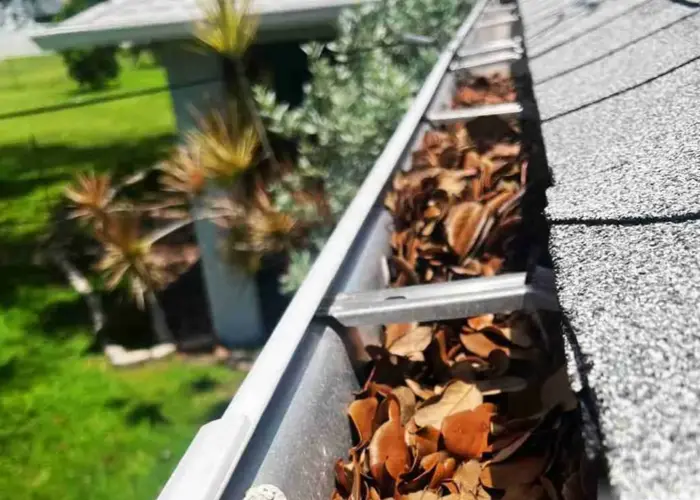 Gutter Cleaning Aventura FL home page